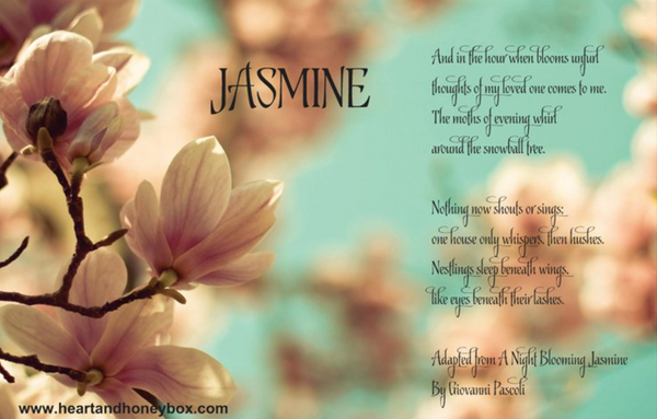 Our May Theme: Jasmine!