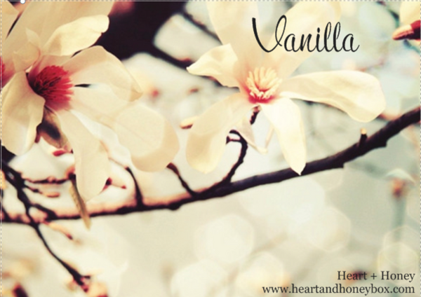 July Theme: Vanilla - An Aphrodisiac for the Ages
