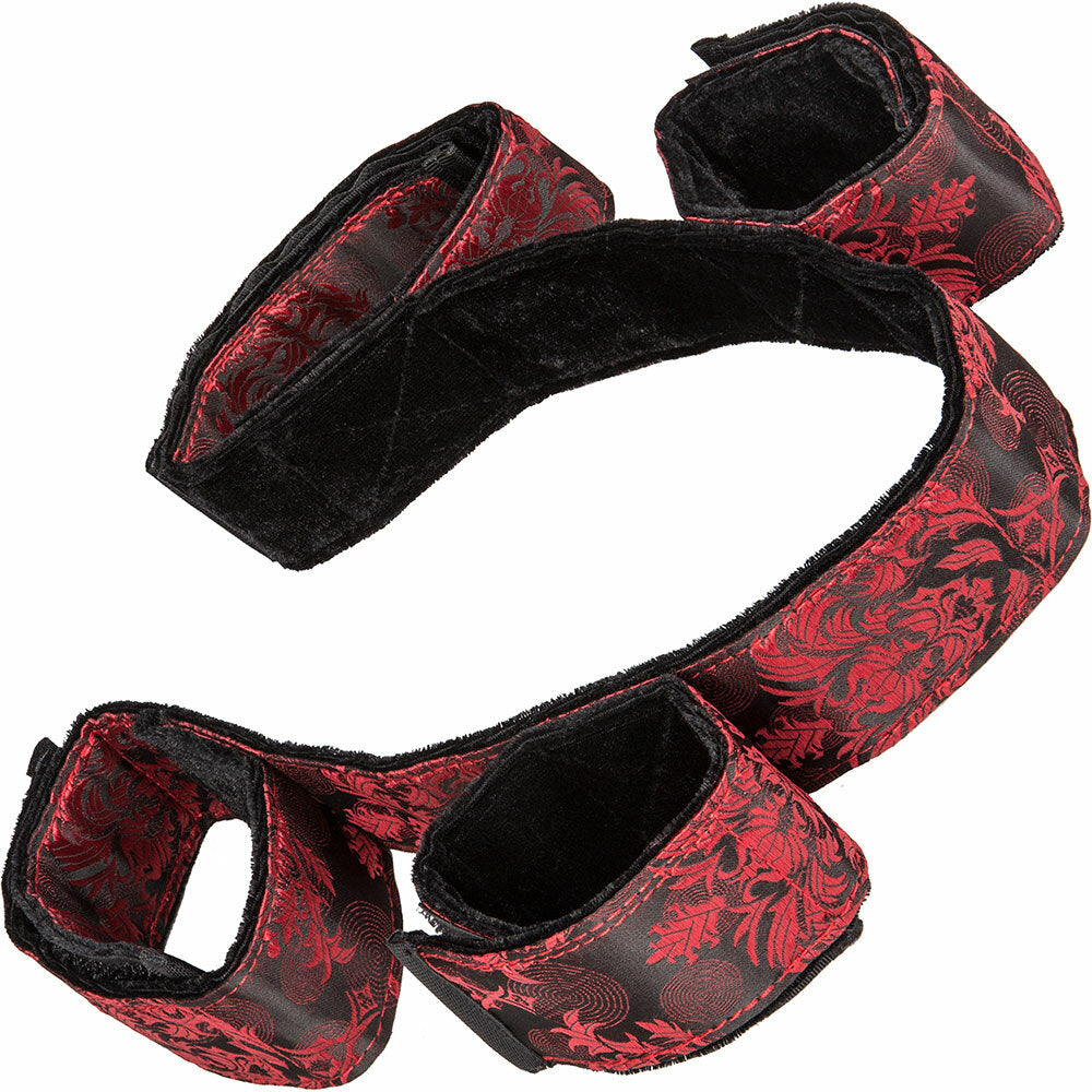 Scandal Bondage Bar