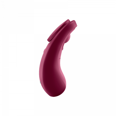 Sexy Secret Panty Vibe with Manual and App Control
