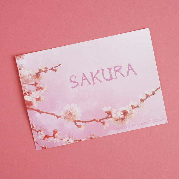 A Sakura Celebration